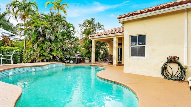 pool featuring a grill and a patio