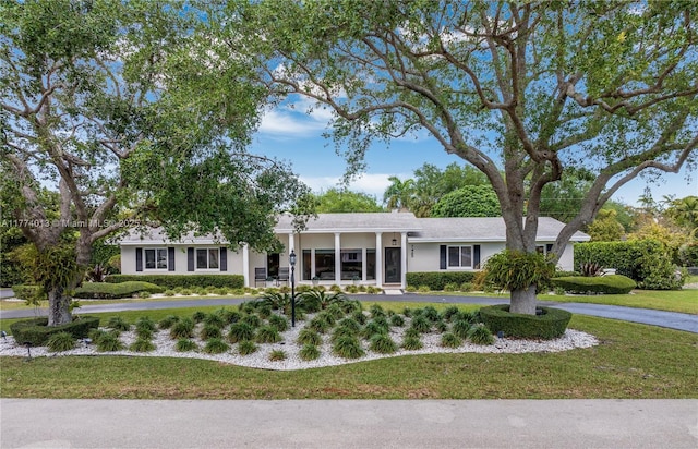 7465 SW 159th Ter, Palmetto Bay, FL 33157 - view of front of property with stucco siding and a front yard