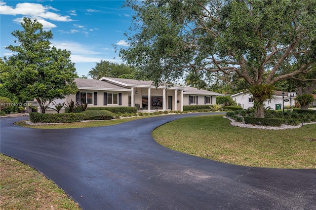 7465 SW 159th Ter, Palmetto Bay, FL 33157 - ranch-style home featuring a front yard, curved driveway, and stucco siding