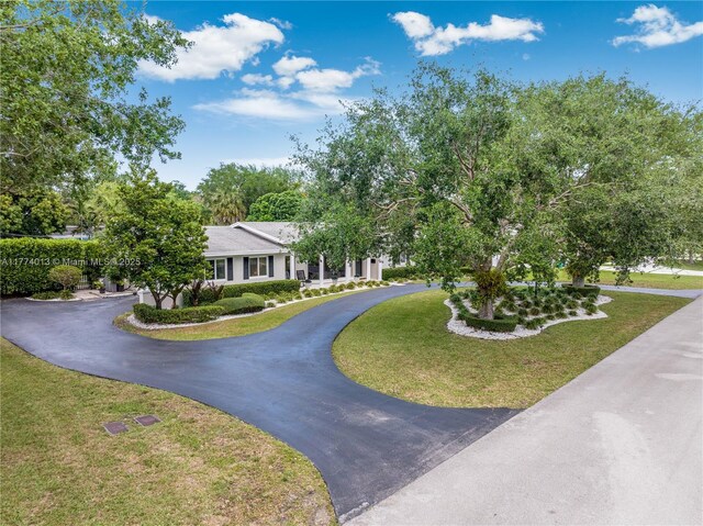 7465 SW 159th Ter, Palmetto Bay, FL 33157 - view of front facade featuring a front yard and aphalt driveway