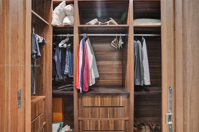 view of closet