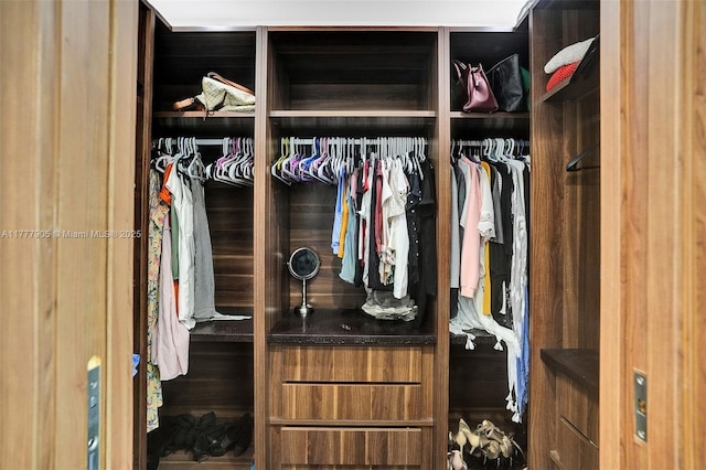 view of closet