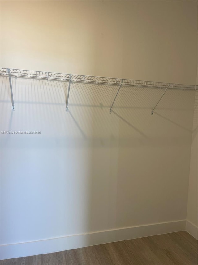 spacious closet with dark wood-style flooring