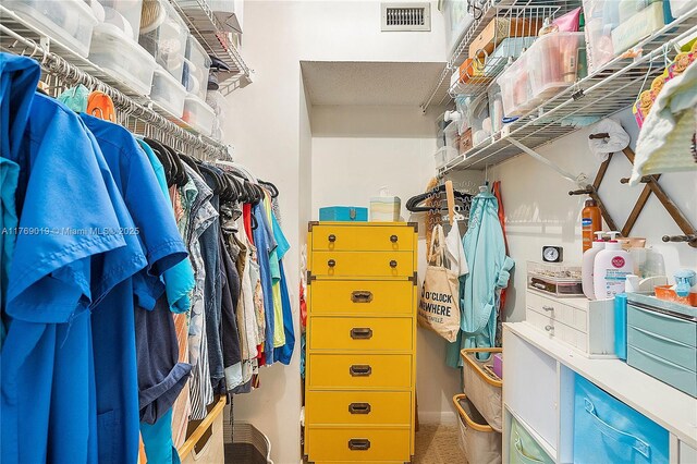 11861 SW 13th Ct, Davie, FL 33325 - spacious closet with carpet