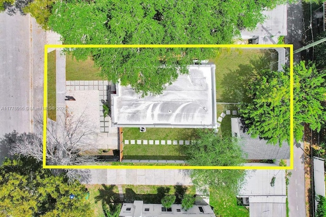 bird's eye view