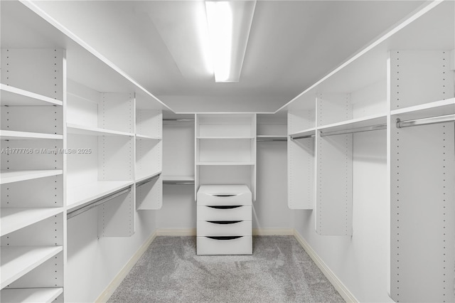 11111 Biscayne Blvd Unit 16G, Miami, FL 33181 - spacious closet featuring carpet floors