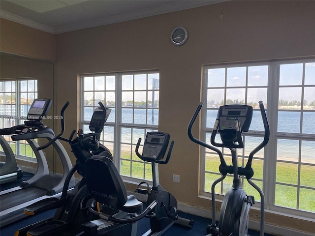 1138 NW 124th Ave Unit 2301, Miami, FL 33182 - workout area with a water view, baseboards, and crown molding