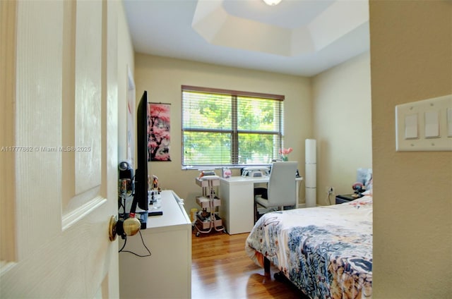 bedroom with wood finished floors and a raised ceiling