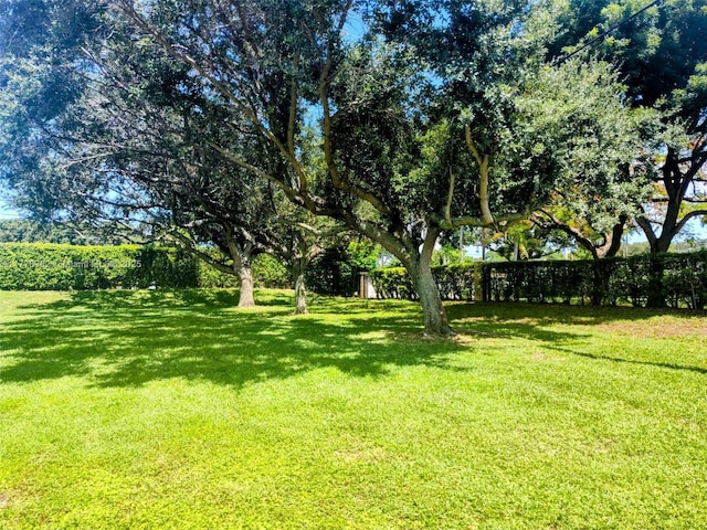 5054 Lakefront Blvd Unit A, Delray Beach, FL 33484 - view of grassy yard