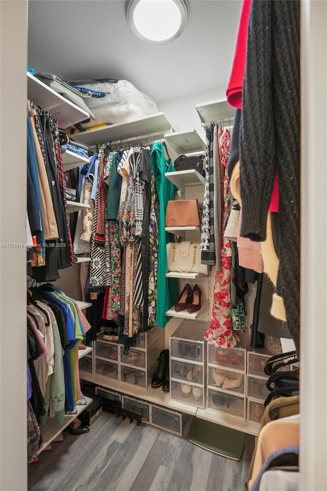 walk in closet featuring wood finished floors