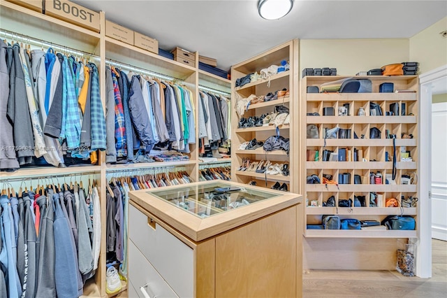 2600 E Island Blvd Unit 1704, Aventura, FL 33160 - walk in closet with light wood-style floors