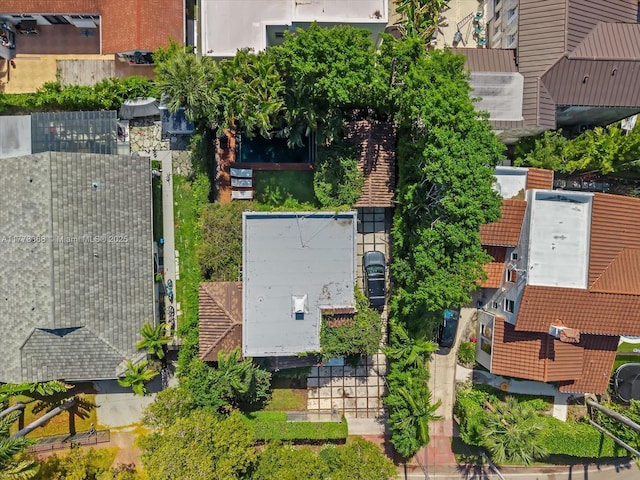 bird's eye view