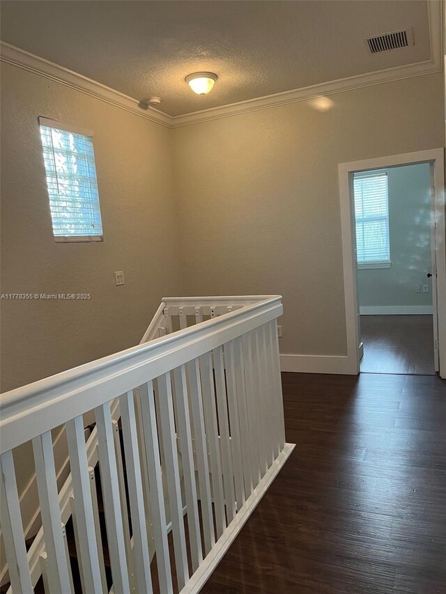 977 SW 153rd Path, Miami, FL 33194 - hallway featuring crown molding, dark wood-style floors, a textured ceiling, and baseboards