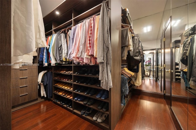 spacious closet with wood-type flooring