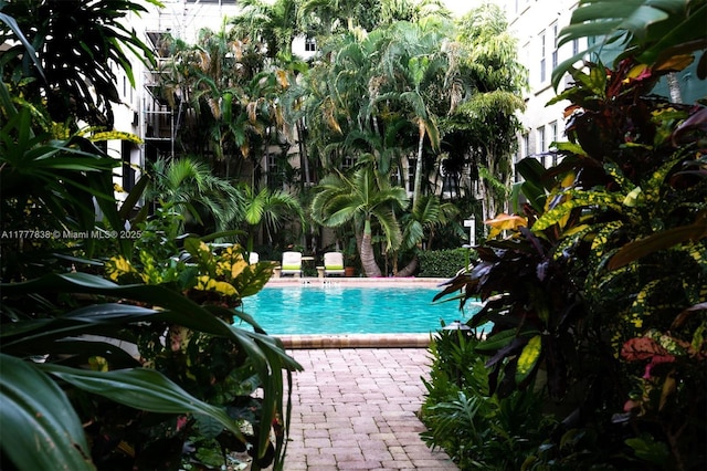 community pool with a patio