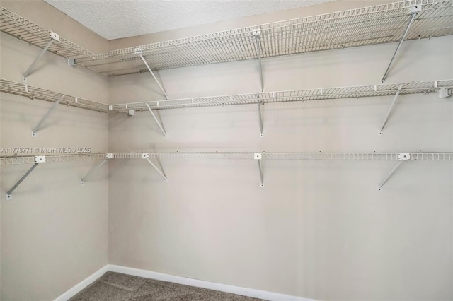 12701 SW 13th St Unit 301F, Pembroke Pines, FL 33027 - spacious closet with carpet flooring