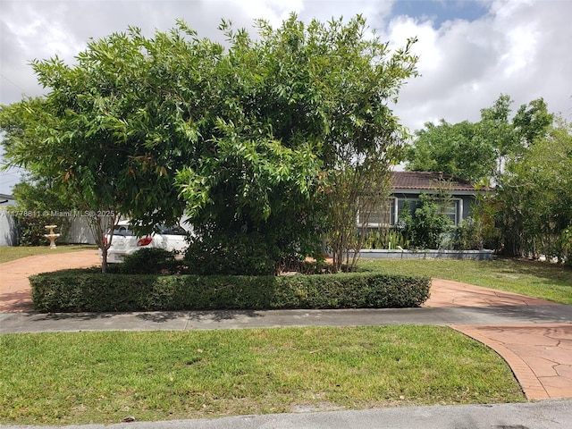 10041 SW 14th Ter, Miami, FL 33174 - obstructed view of property featuring a front lawn