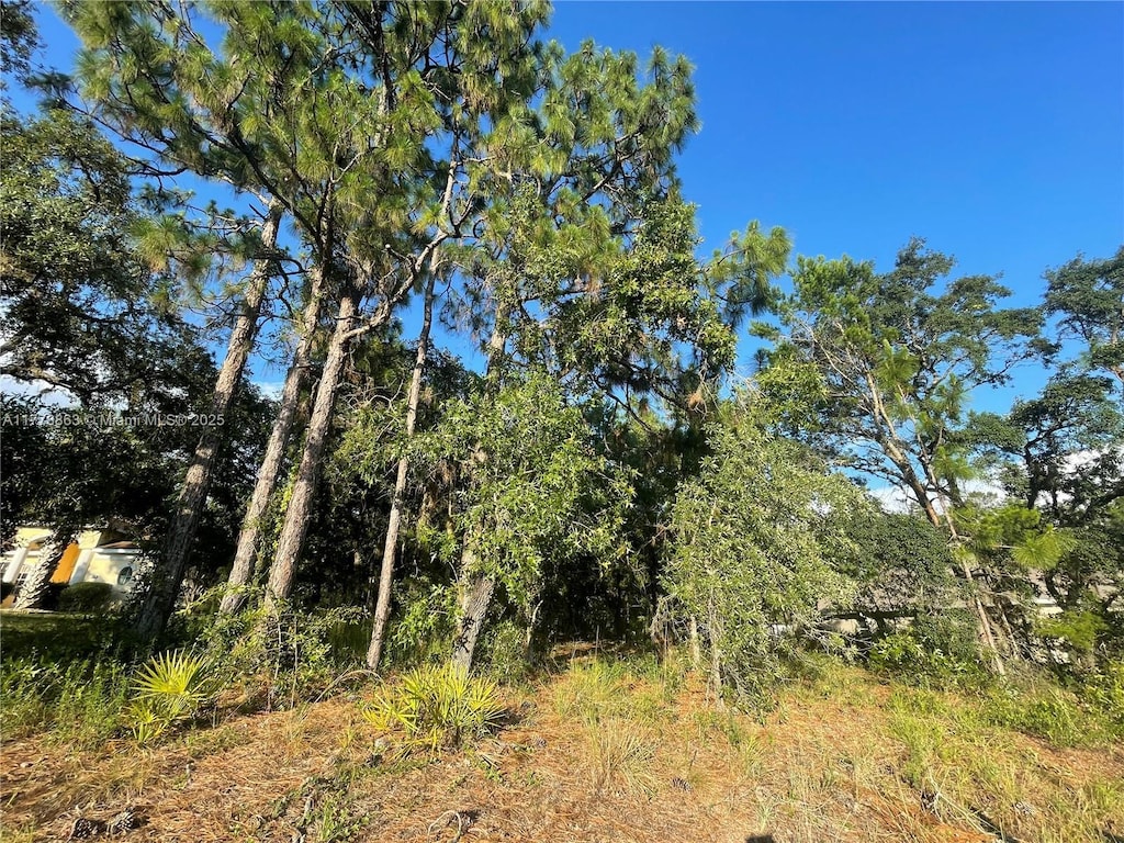 108 Cypress Blvd E, Homosassa Springs, FL 34446 - photo 1