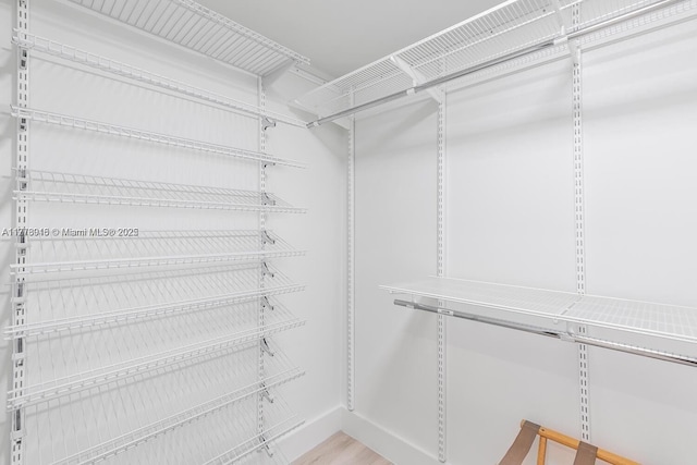 view of spacious closet