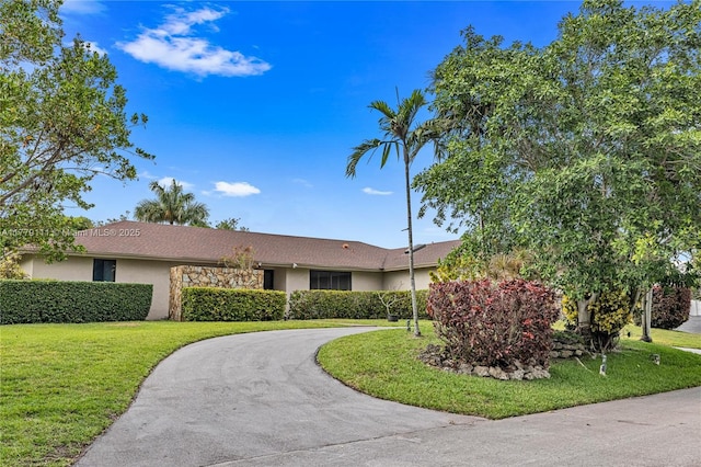 7801 SW 170th St, Palmetto Bay, FL 33157 - ranch-style home with a front yard, curved driveway, stone siding, and stucco siding