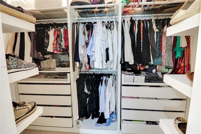 view of spacious closet