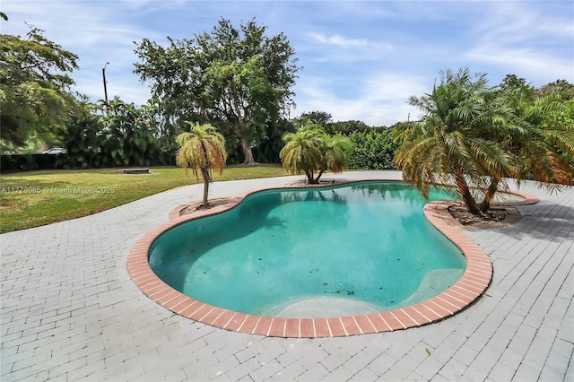 outdoor pool with a patio and a lawn
