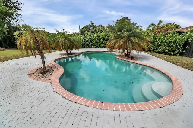 pool featuring a patio
