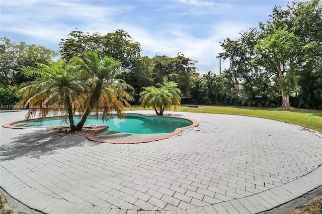 pool featuring a patio and a lawn