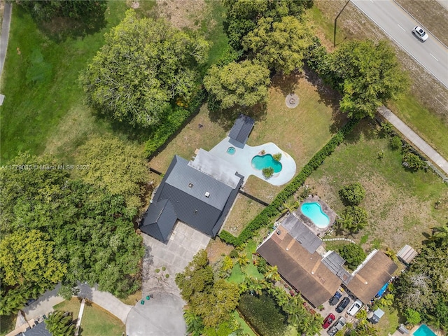 bird's eye view