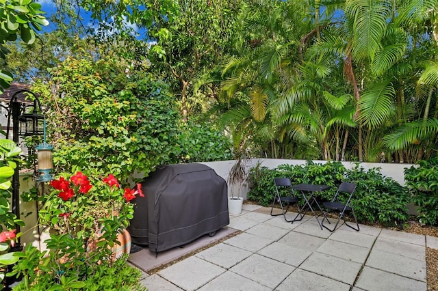 view of patio with area for grilling