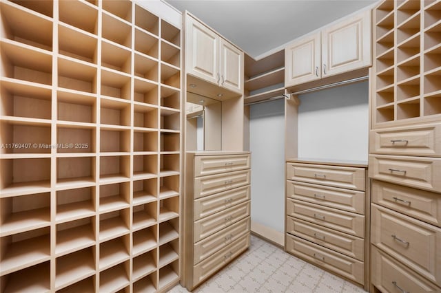 view of walk in closet