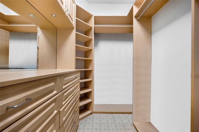 spacious closet with light floors