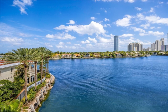 view of water feature with a city view