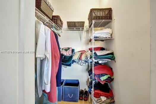 view of walk in closet