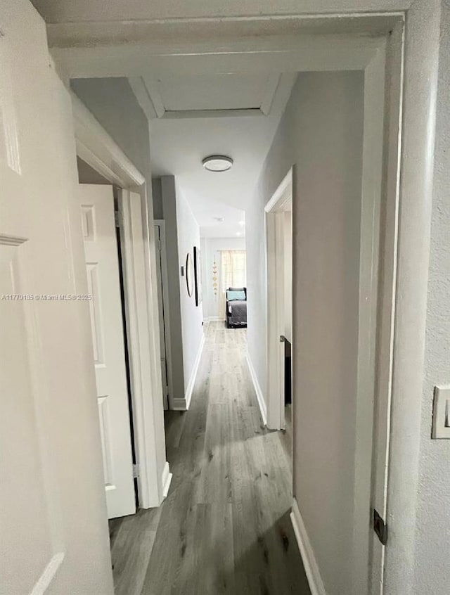 3050 NW 52nd St, Miami, FL 33142 - photo 10