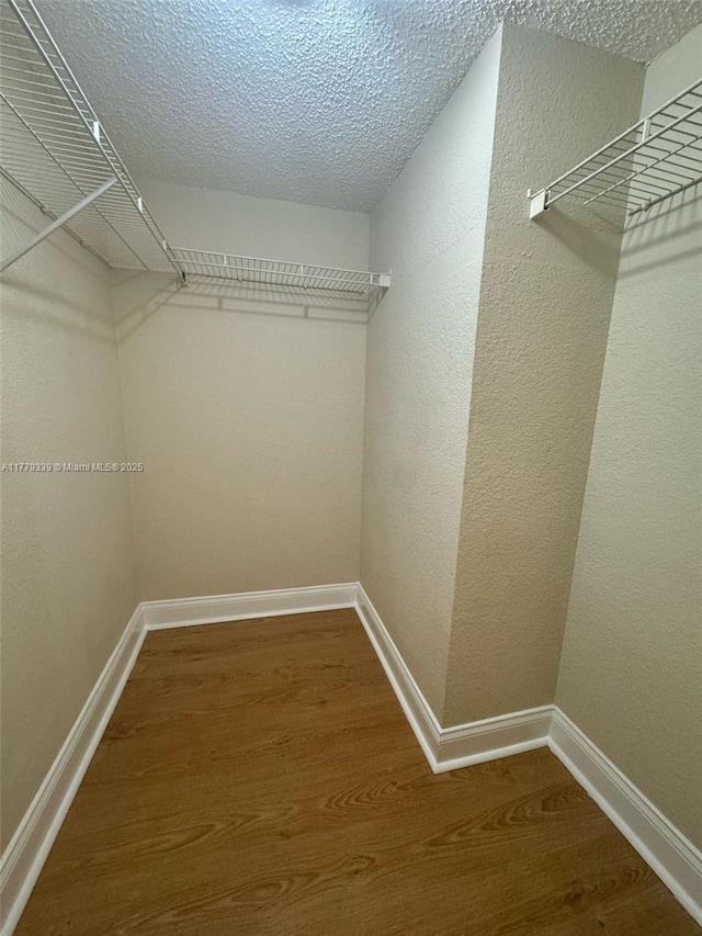 walk in closet with wood finished floors