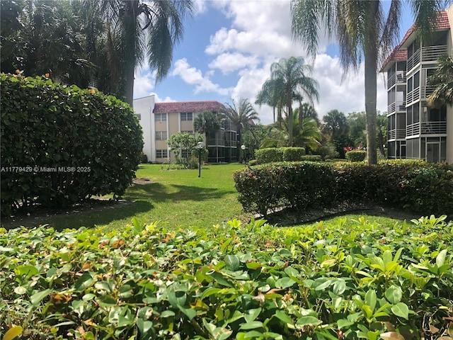 3776 Inverrary Blvd Unit 205R, Lauderhill, FL 33319 - view of green lawn