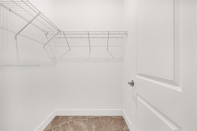 walk in closet featuring carpet