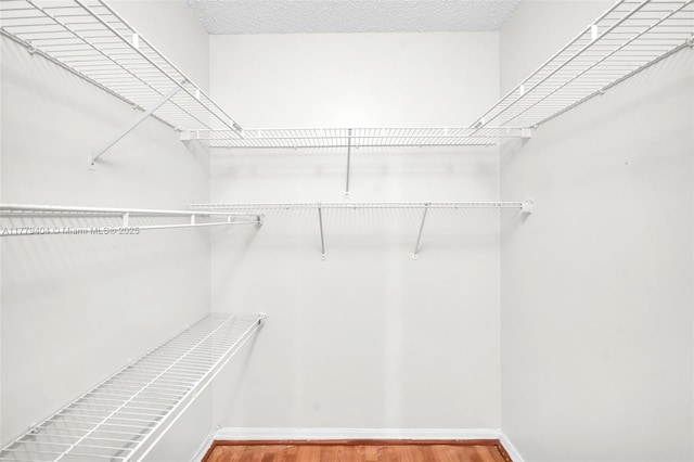 1617 Zenith Way, Weston, FL 33327 - walk in closet with wood finished floors