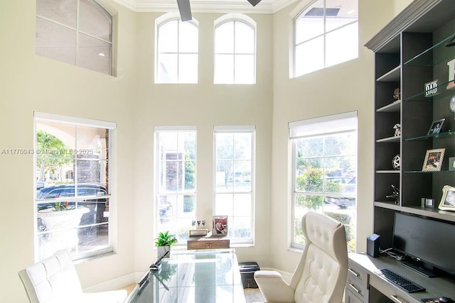 5025 Regency Isles Way, Cooper City, FL 33330 - office area with crown molding, a towering ceiling, and plenty of natural light