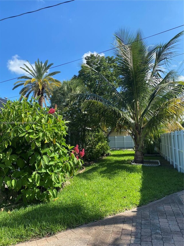 428 N Crescent Dr, Hollywood, FL 33021 - view of yard