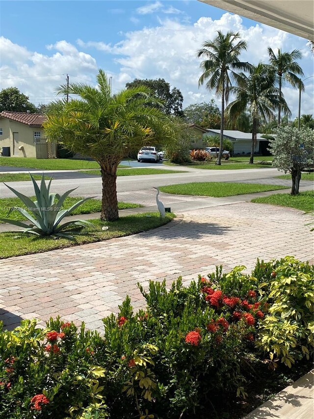 428 N Crescent Dr, Hollywood, FL 33021 - view of surrounding community