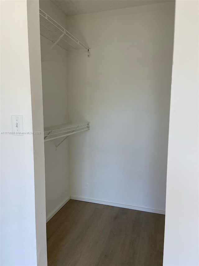 walk in closet featuring wood finished floors