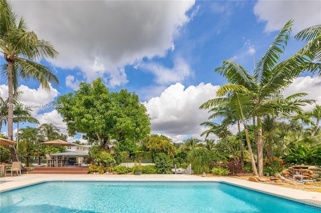 1001 S Alhambra Cir, Coral Gables, FL 33146 - swimming pool with a deck