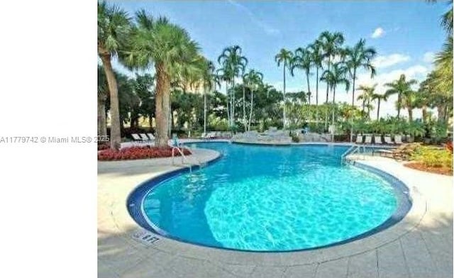 view of swimming pool