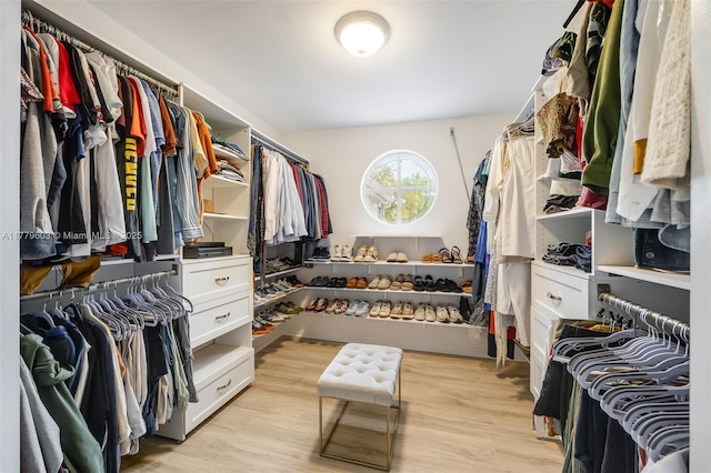 spacious closet with light wood-type flooring