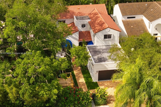 drone / aerial view