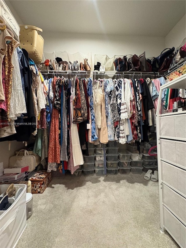 spacious closet with carpet floors