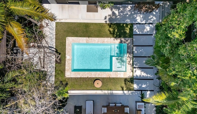 drone / aerial view