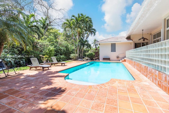 8350 SW 138th Ter, Palmetto Bay, FL 33158 - pool featuring a patio area